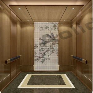 Rose Gold Mirror Silk Drawing farþega lyfta