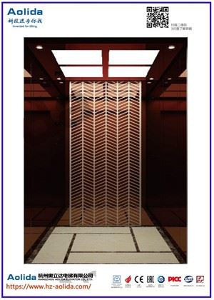 Rose Gold Mirror etched MR háhraða farþega lyftu